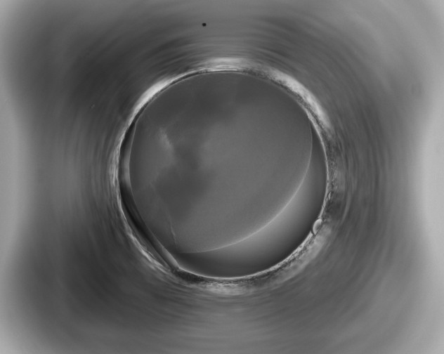 X0000087631473200705101018