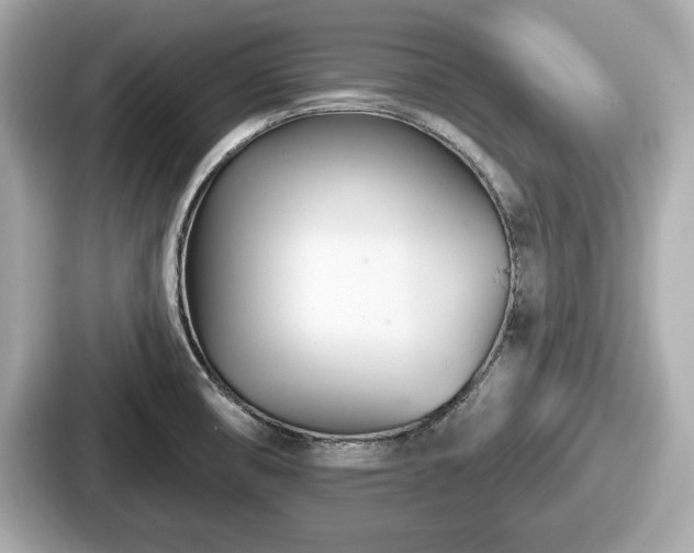 X0000087631474200705101018