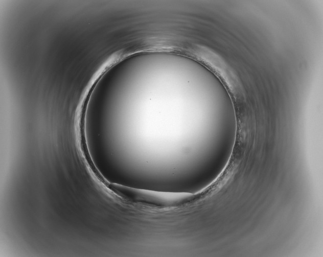 X0000087631475200705101018