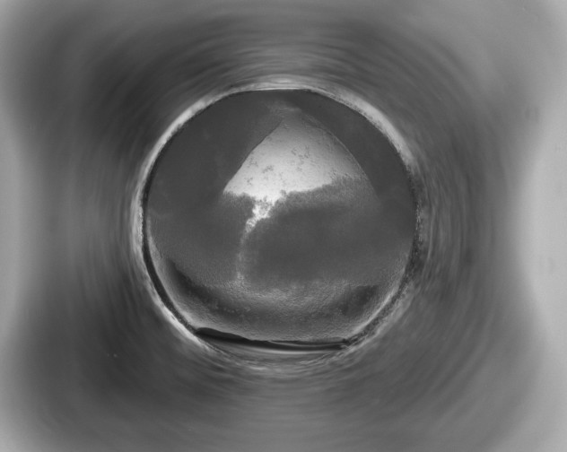 X0000087631476200705101018