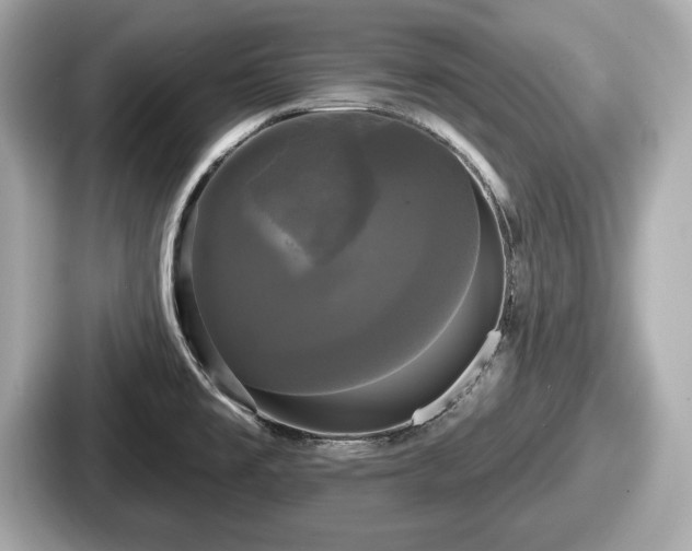 X0000087631477200705101018