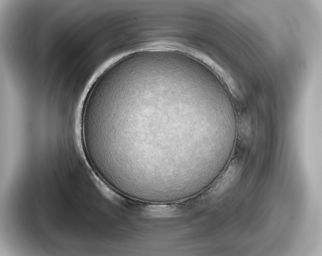 X0000087631478200705101018