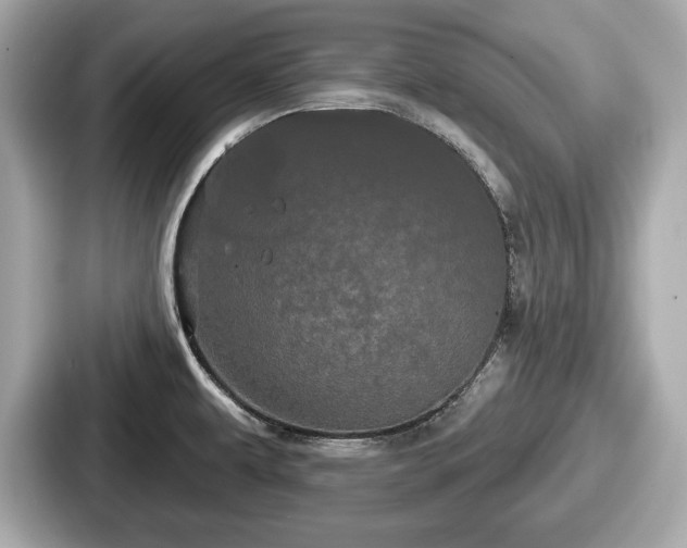 X0000087631479200705101018