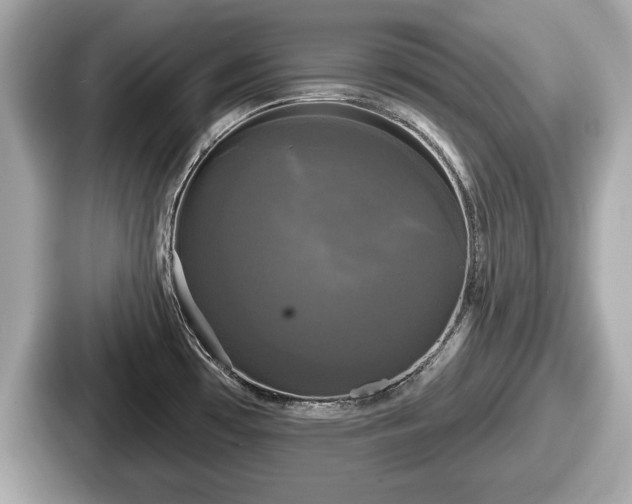 X0000087631481200705101018