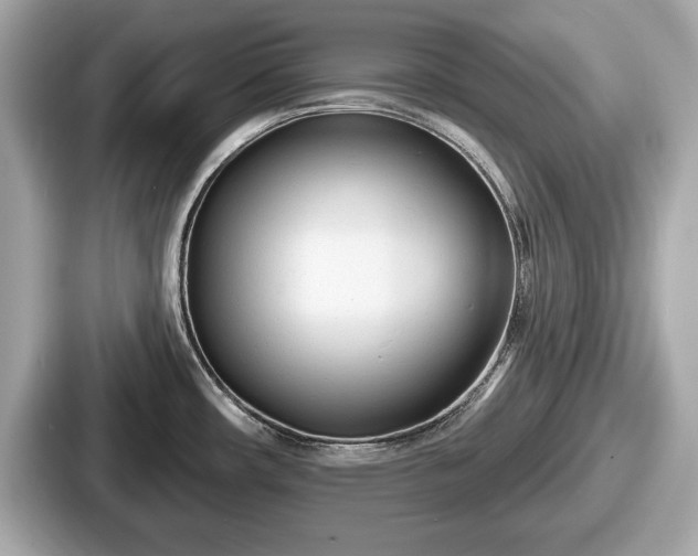 X0000087631482200705101018