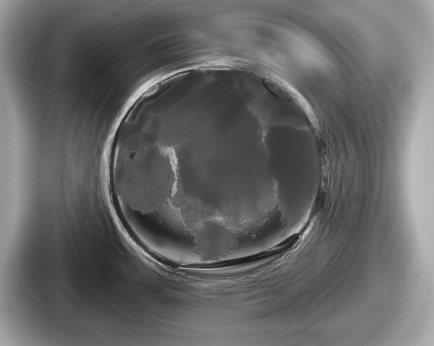 X0000087631483200705101018