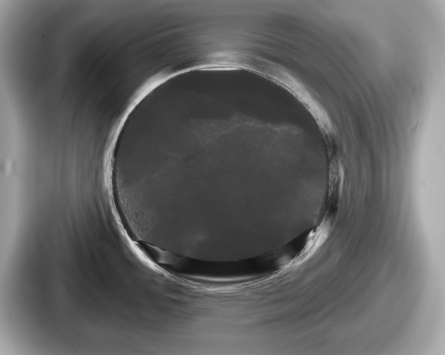 X0000087631484200705101018