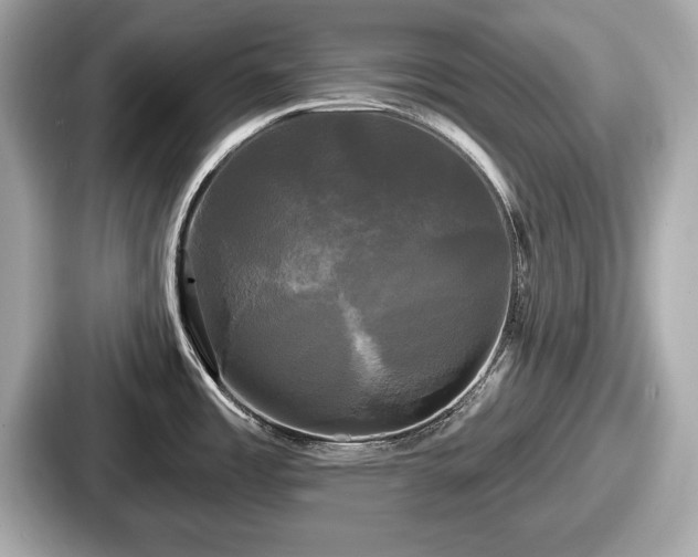 X0000087631485200705101018