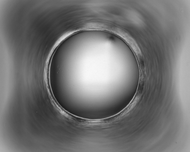 X0000087631486200705101018