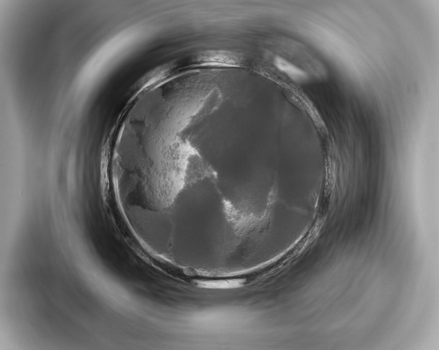 X0000087631487200705101018