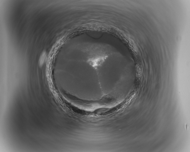 X0000087631489200705101017