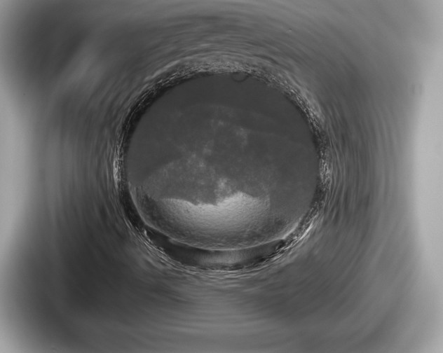 X0000087631490200705101017