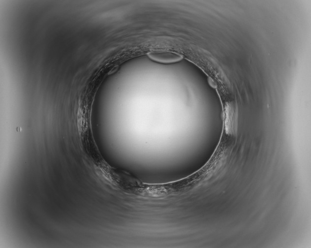 X0000087631491200705101017