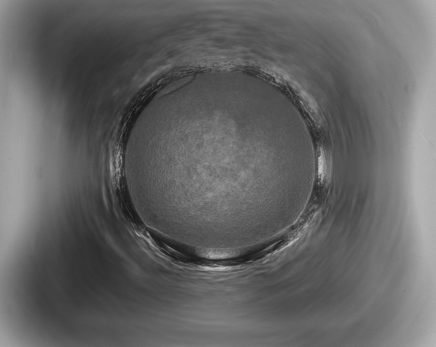 X0000087631492200705101017