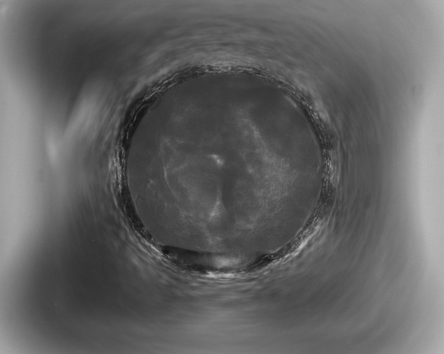 X0000087631493200705101017