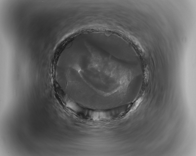 X0000087631494200705101017