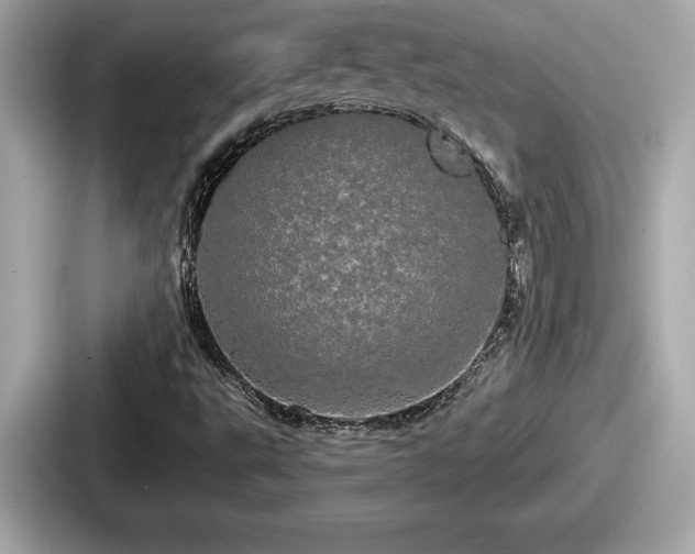 X0000087631495200705101017