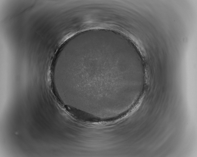 X0000087631497200705101017