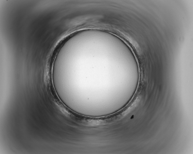 X0000087631498200705101017