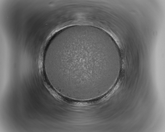 X0000087631499200705101017