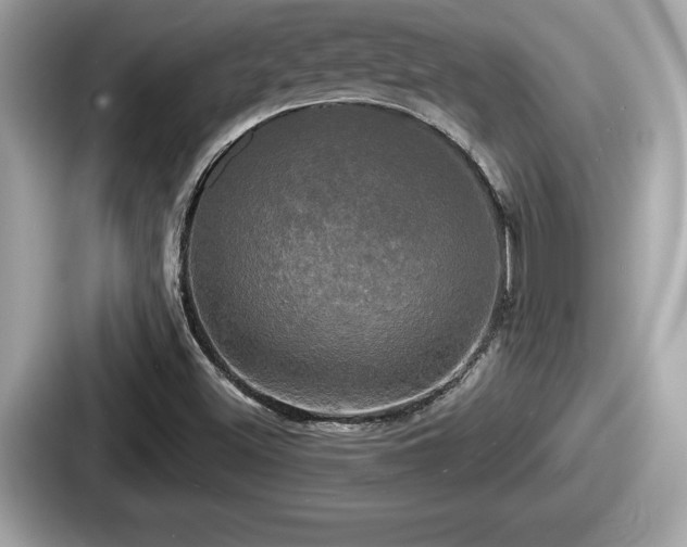 X0000087631500200705101017