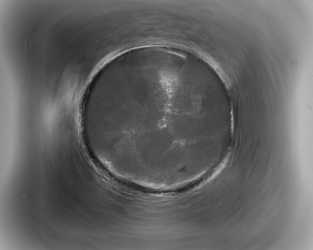 X0000087631501200705101017