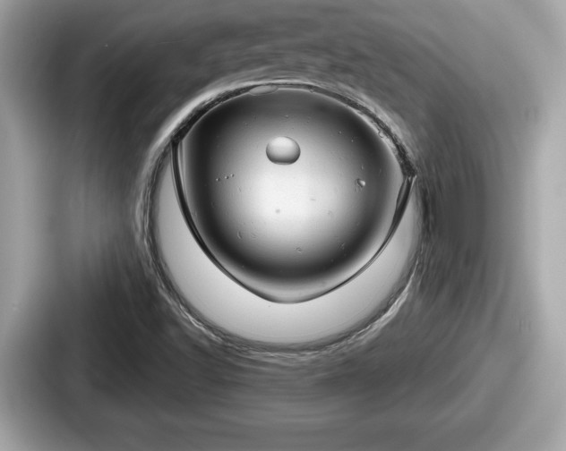 X0000087631502200705101017