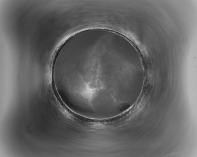 X0000087631504200705101017