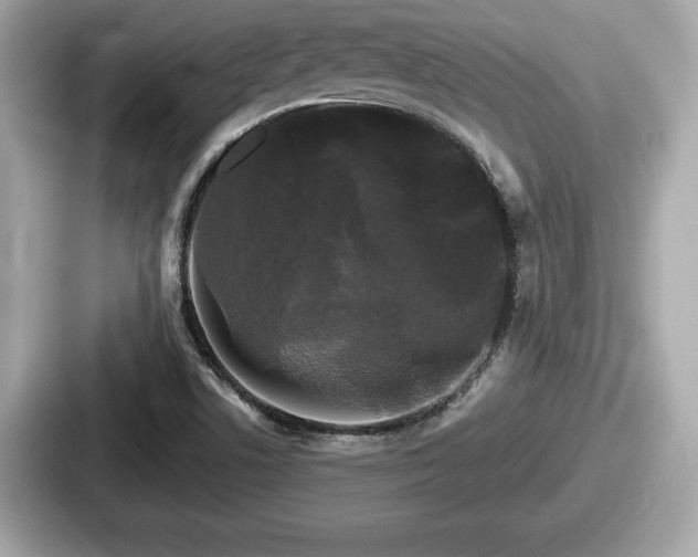 X0000087631506200705101017