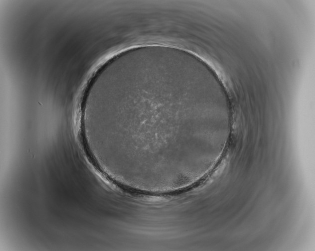 X0000087631507200705101017