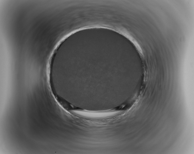 X0000087631508200705101017