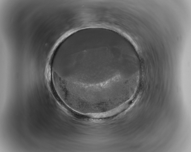 X0000087631509200705101017