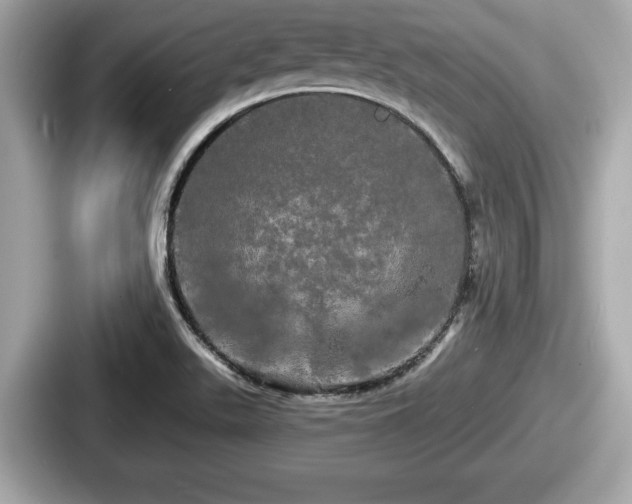 X0000087631511200705101017