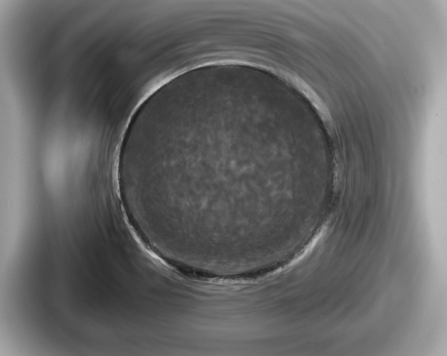 X0000087631513200705101017