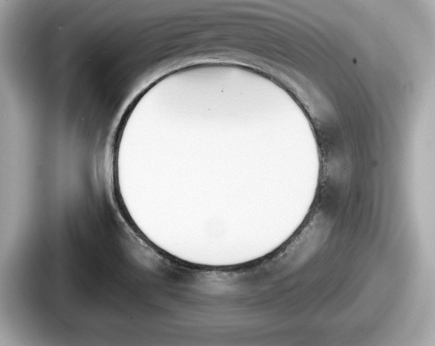 X0000087631514200705101017