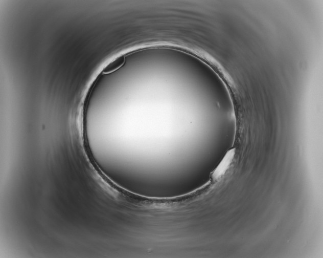 X0000087631516200705101017