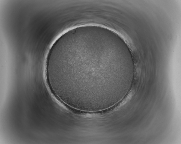 X0000087631518200705101017