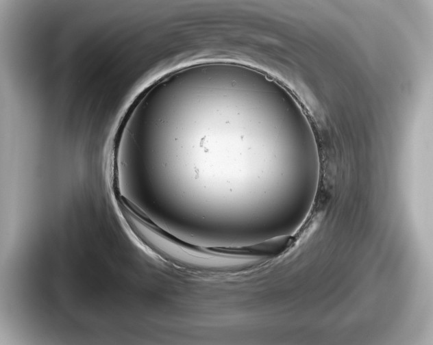 X0000087631519200705101017