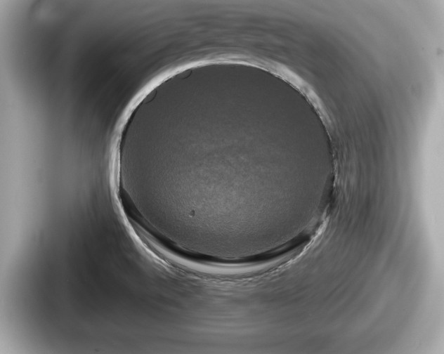 X0000087631520200705101017