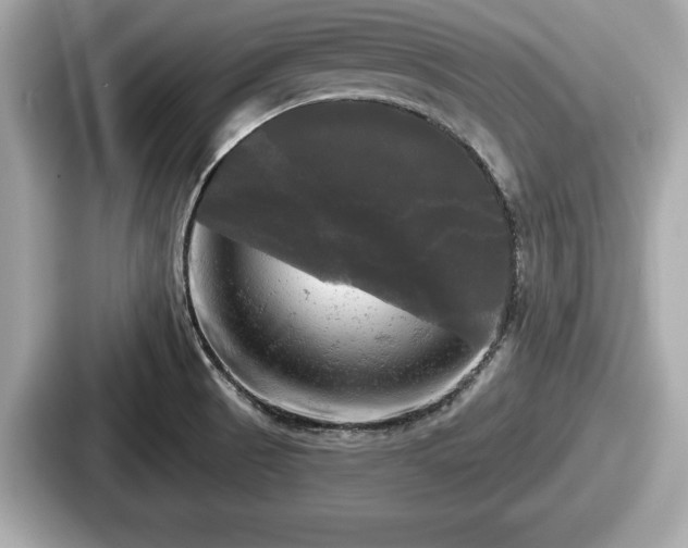 X0000087631521200705101017