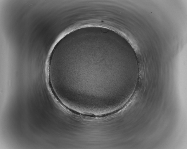 X0000087631522200705101017