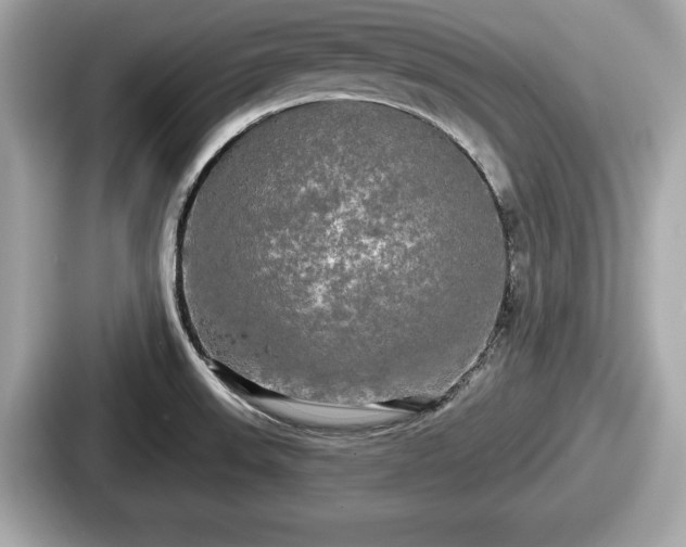 X0000087631523200705101017