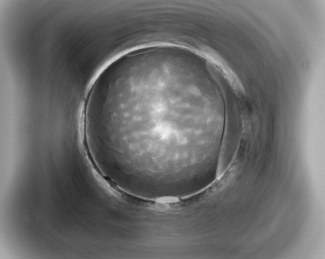 X0000087631524200705101017