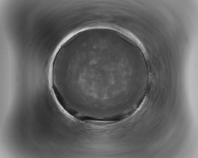 X0000087631528200705101017