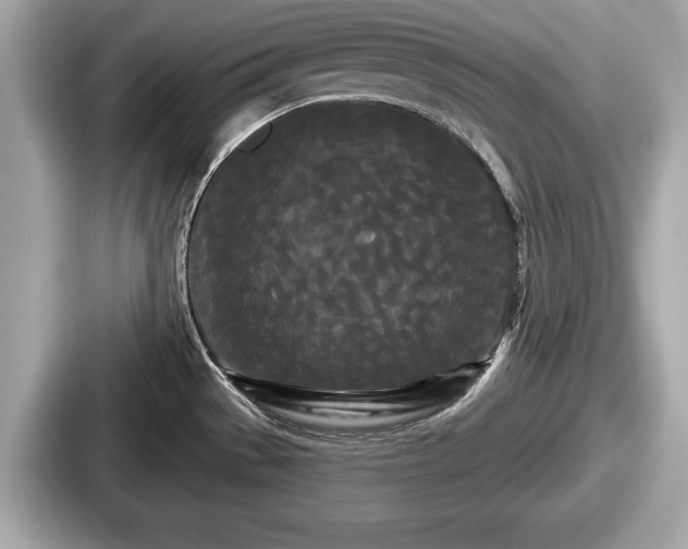 X0000087631529200705101017