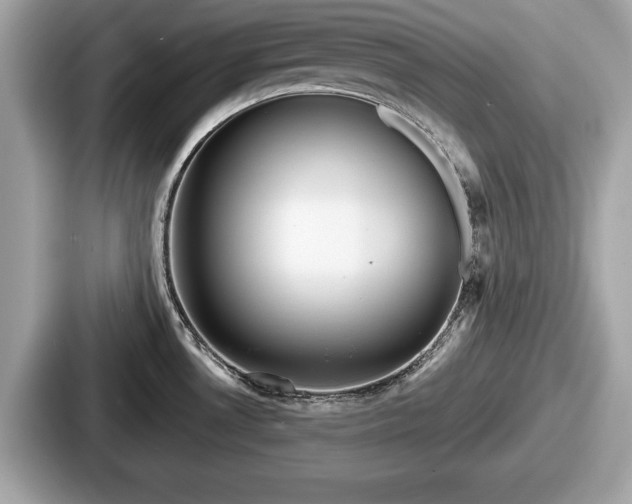 X0000087631530200705101017