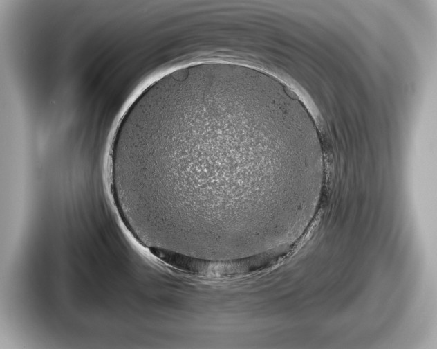 X0000087631531200705101017