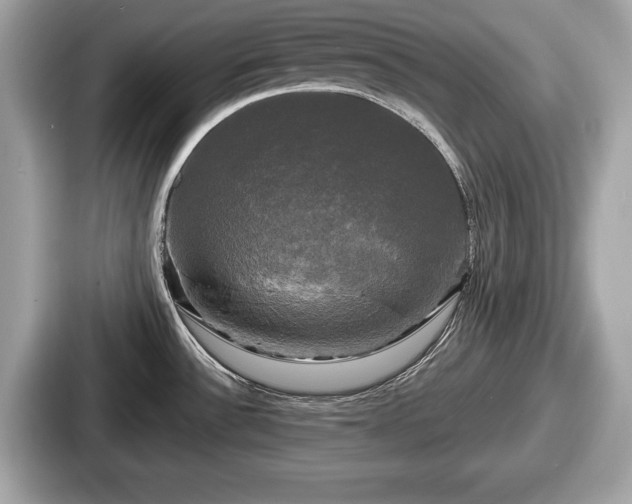 X0000087631532200705101017