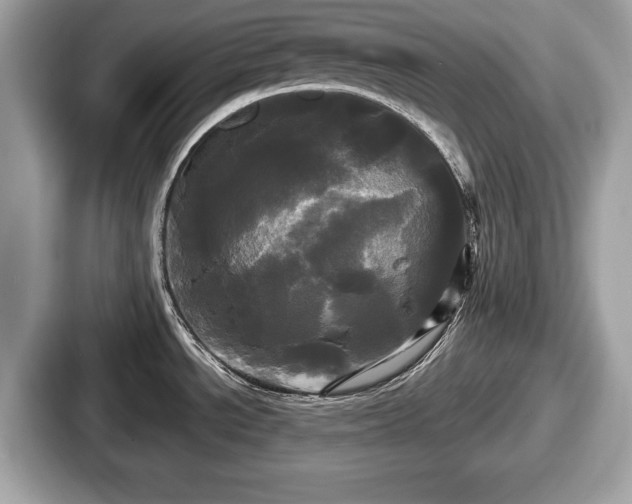 X0000087631534200705101017