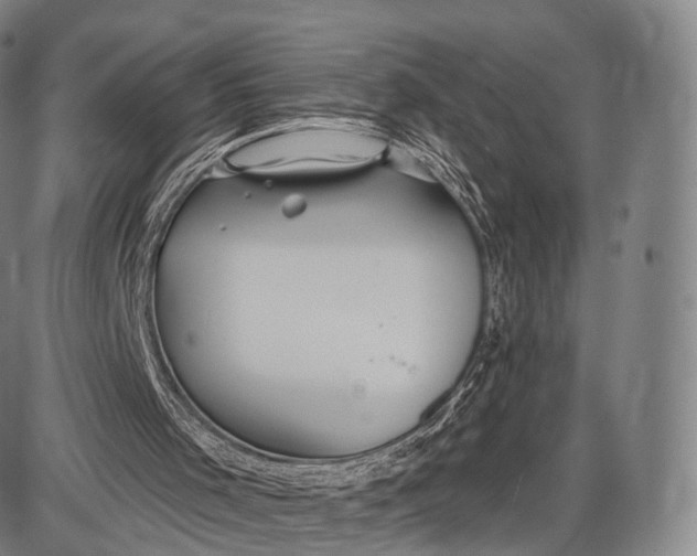 X0000087630001200705181512